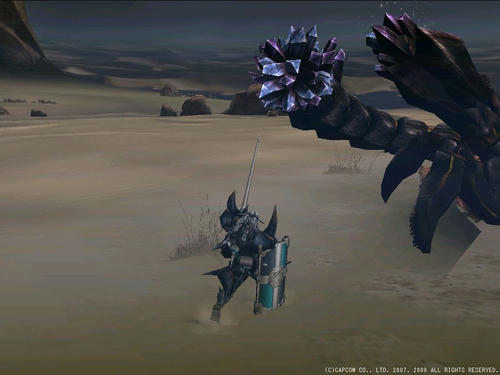 040563ff.jpg