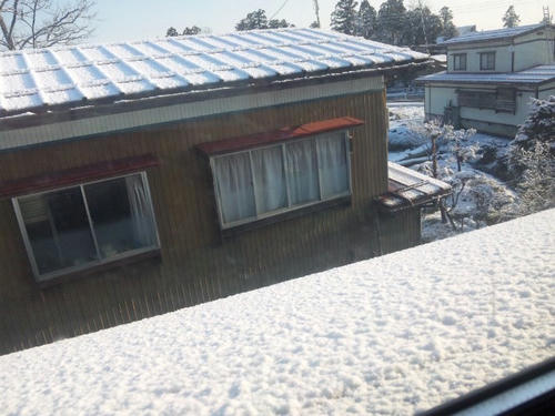 10.03.30-2.jpg