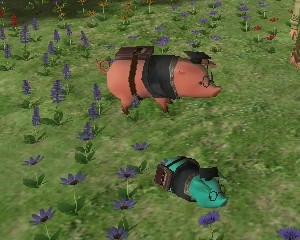 10.09.02-3.jpg