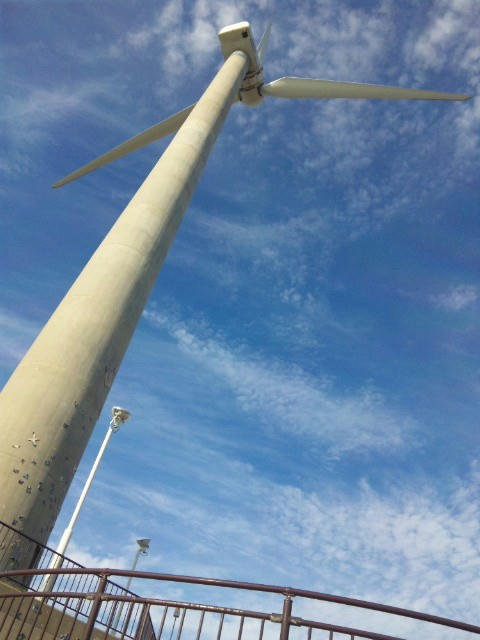 10.10.08-8.jpg