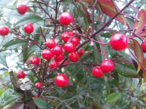 10.12.21-5.jpg