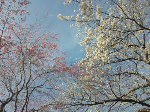 11.04.18-6.jpg