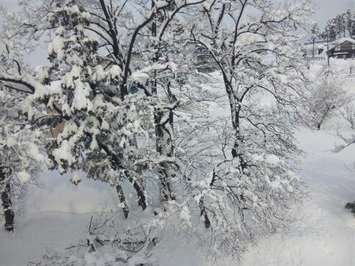 12.02.02-5.jpg