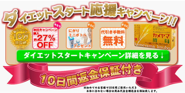 カメヤマ酵母最安値