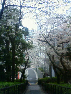 201104090755000.jpg