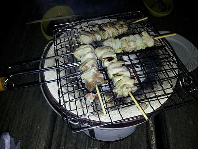 20111110_222835-1.JPG