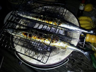 20111110_225704-1.JPG