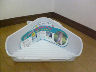 toilet.jpg