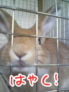 070901_0720~01.jpg
