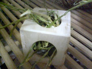 070928_0025~01.jpg