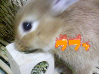 070928_0023~01.jpg