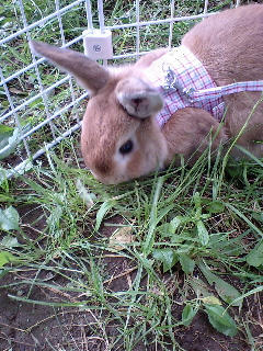080706_04.jpg