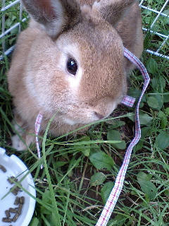 080706_05.jpg