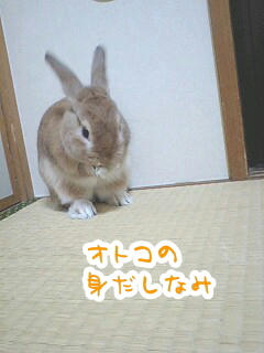 080823_02.jpg