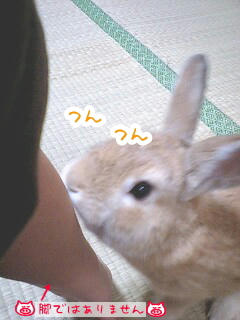 080823_05.jpg