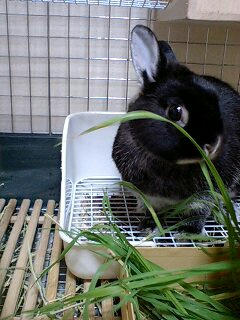 080913_1805~0001.jpg