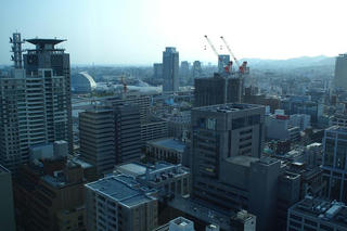 P8300692_cp.JPG