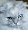 finepix008.jpg