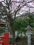 100308-06.jpg