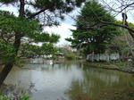 100308-07.jpg