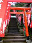 100308-11.jpg