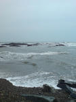 20090919095341.jpg