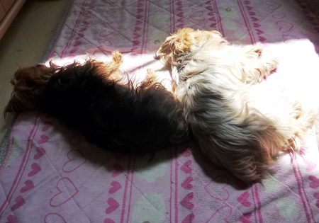 20120402s.jpg