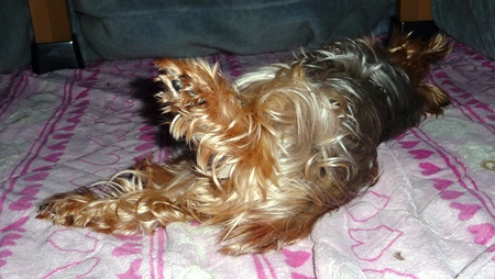 20120405s.jpg
