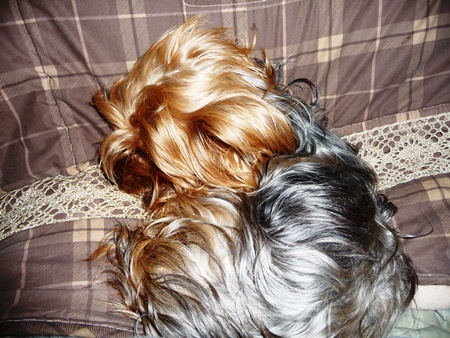 20120408s.jpg