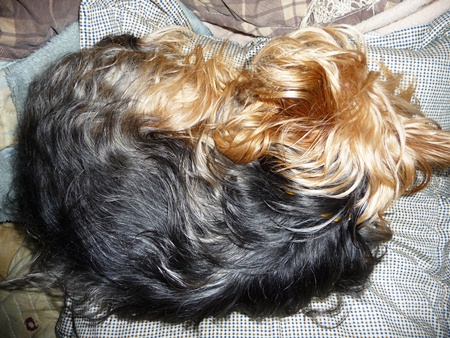 20120412s.jpg