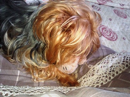 20120602s.jpg