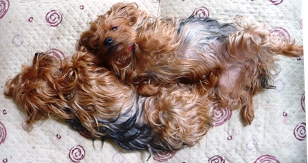 20120623_02s.jpg