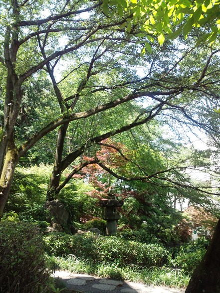 20120625s.jpg