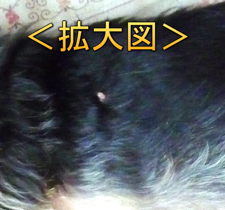 20120715s2.jpg