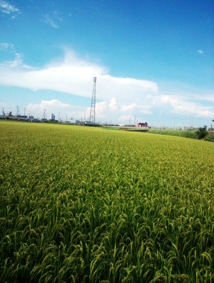 20120816s.jpg