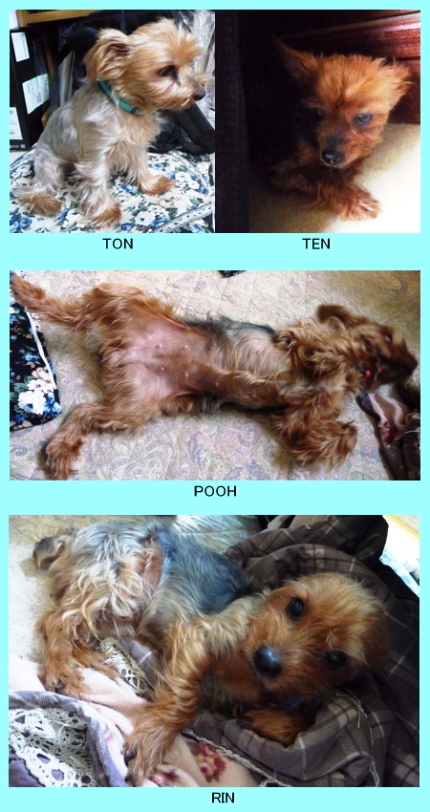 20120816wans.jpg
