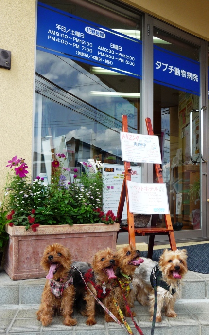 20120930s.jpg
