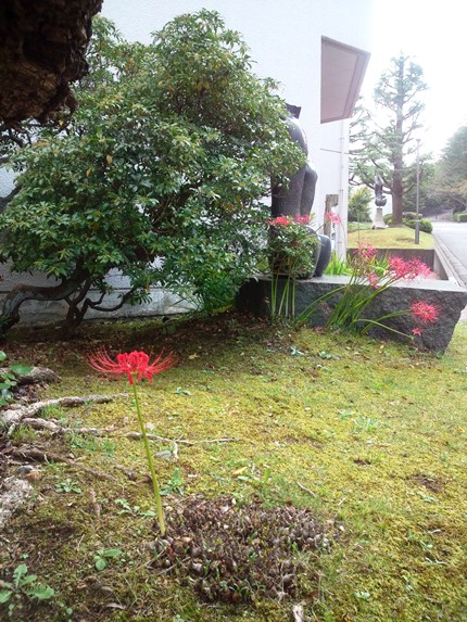 20121002s.jpg