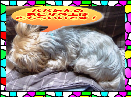20121014s.jpg