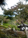 海蔵寺1
