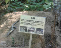 訃報