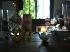P1010580.jpg