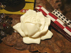 P1000117.JPG