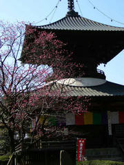 P1000740.jpg