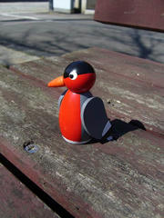 P1000925.jpg
