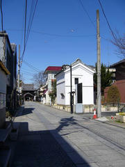 P1000927.jpg