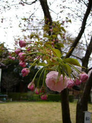 P1010069.jpg
