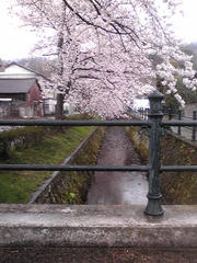 20110409095244.jpg