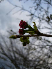 P1040763.jpg