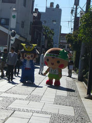 P1060362.jpg